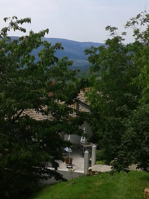 Apartment Bella Vista 2 Buzet Buitenkant foto